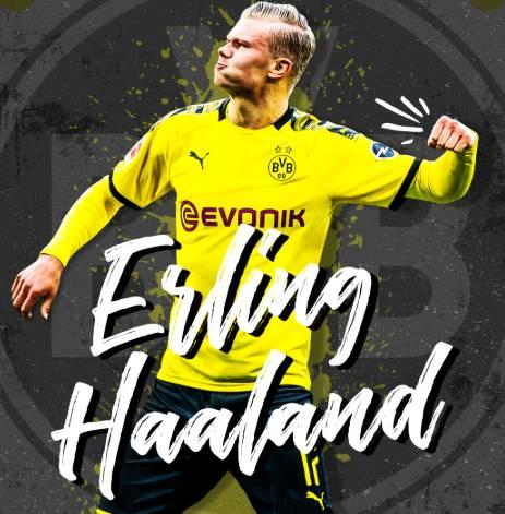 石破天惊！泰勒·亚当斯43米吊射破门为本赛季英超最远进球（43米惊天吊射！泰勒·亚当斯打入本赛季英超最远一球）